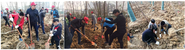 QQ图片20190314135229.png
